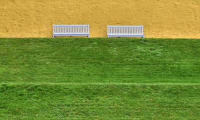 OCC Confirms Banks Cut Ties to Controversial Sectors