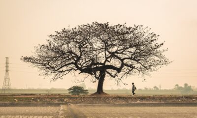 Deal Catapults Virginia’s Burke & Herbert into Pennsylvania